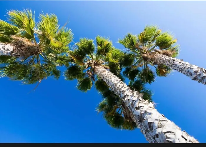 Apartment Myinzu - Club Village Garden Albufeira